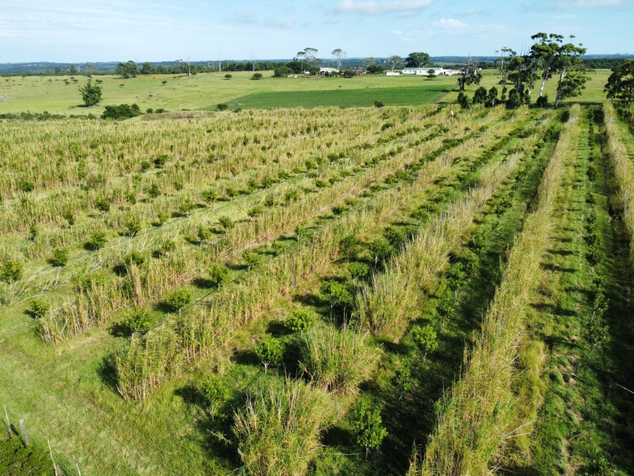 3 Bedroom Property for Sale in Kidds Beach Eastern Cape